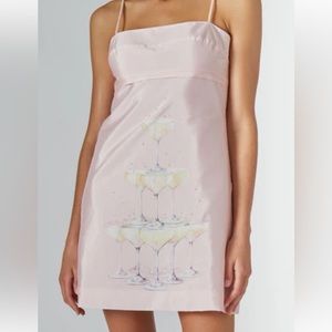 Rachel Antonoff champagne tower mini dress- never worn